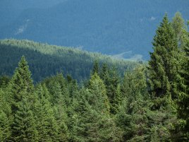 img_4208