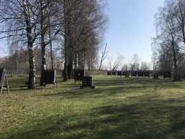 Frühjahrsputz 2019