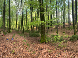 Feldtraining-Passau-18