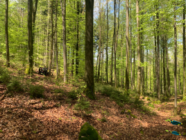Feldtraining-Passau-19