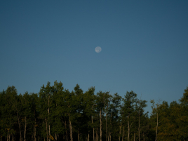WM_Feldbogen_2024_Kanada-42