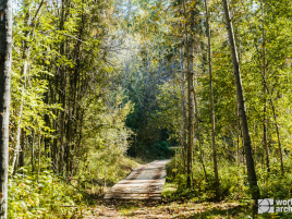 WM_Feldbogen_2024_Kanada-53