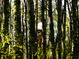 WM_Feldbogen_2024_Kanada-57