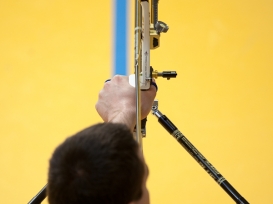 Deutsche Meisterschaft Halle 2014