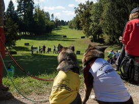 Europameisterschaft Feldbogen 2019