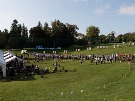 EM-Feld-2019-9