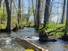 Fruhjahrsturnier_Wirsberg_2023_Fluss