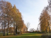 IMG_1875